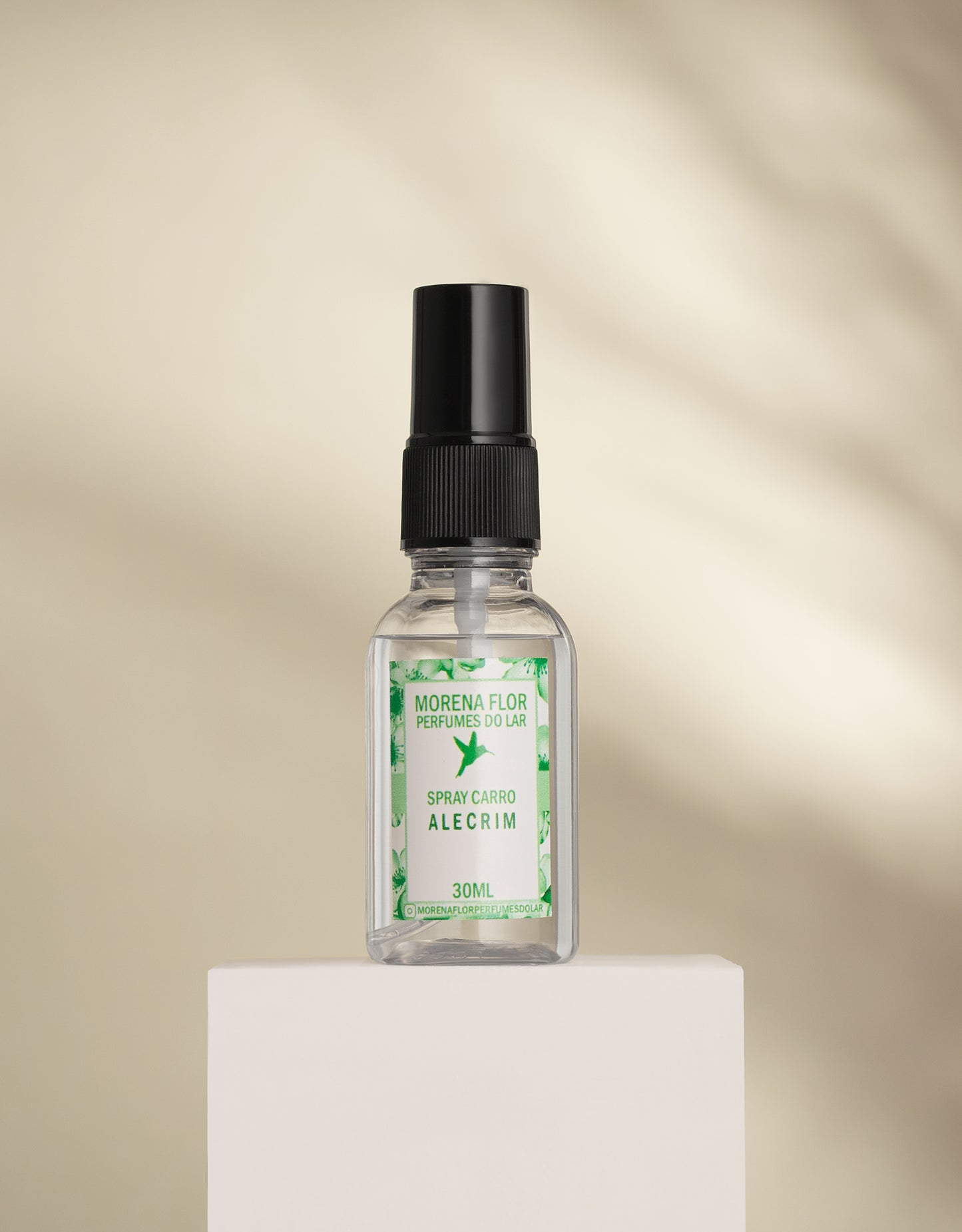 Spray para Carro